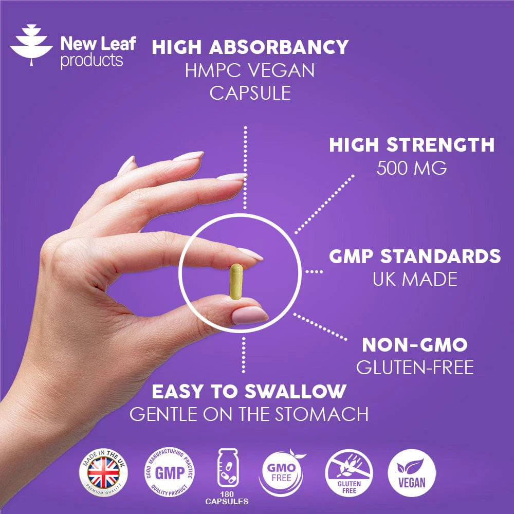 Quercetin Supplement - 500mg High Strength Antioxidant
