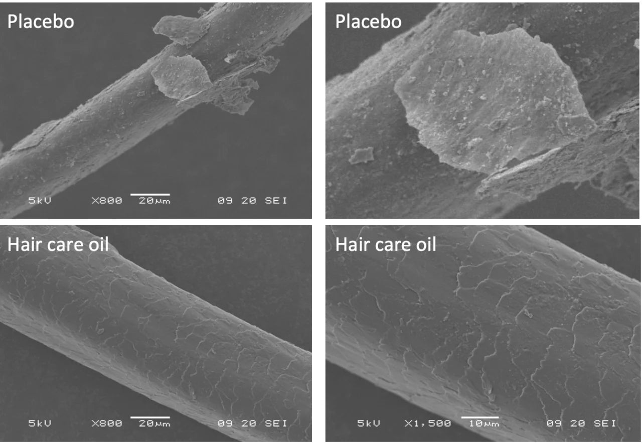 Standard Beauty - Daily Dry Oil For Smooth Strands