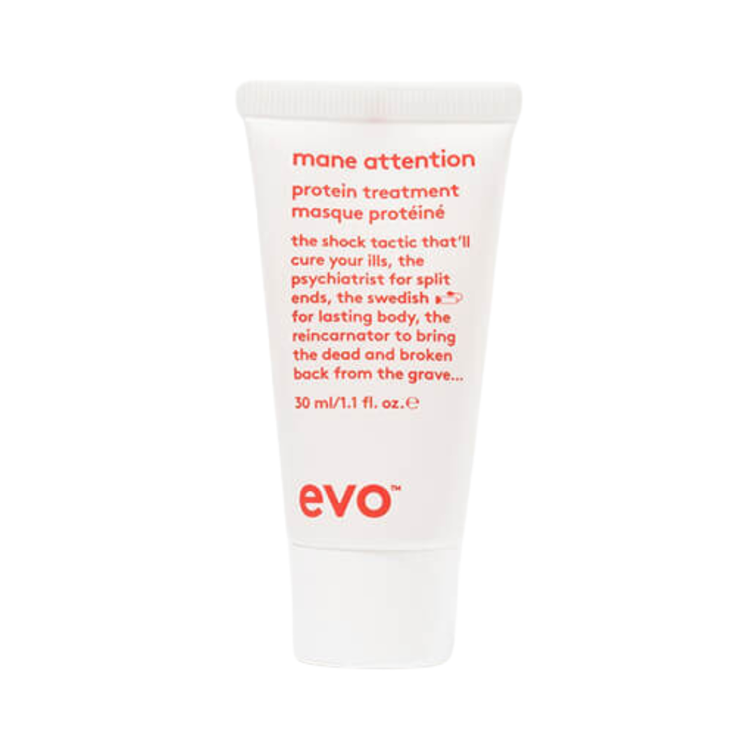 Evo - Mane Attention Protein Treatment
