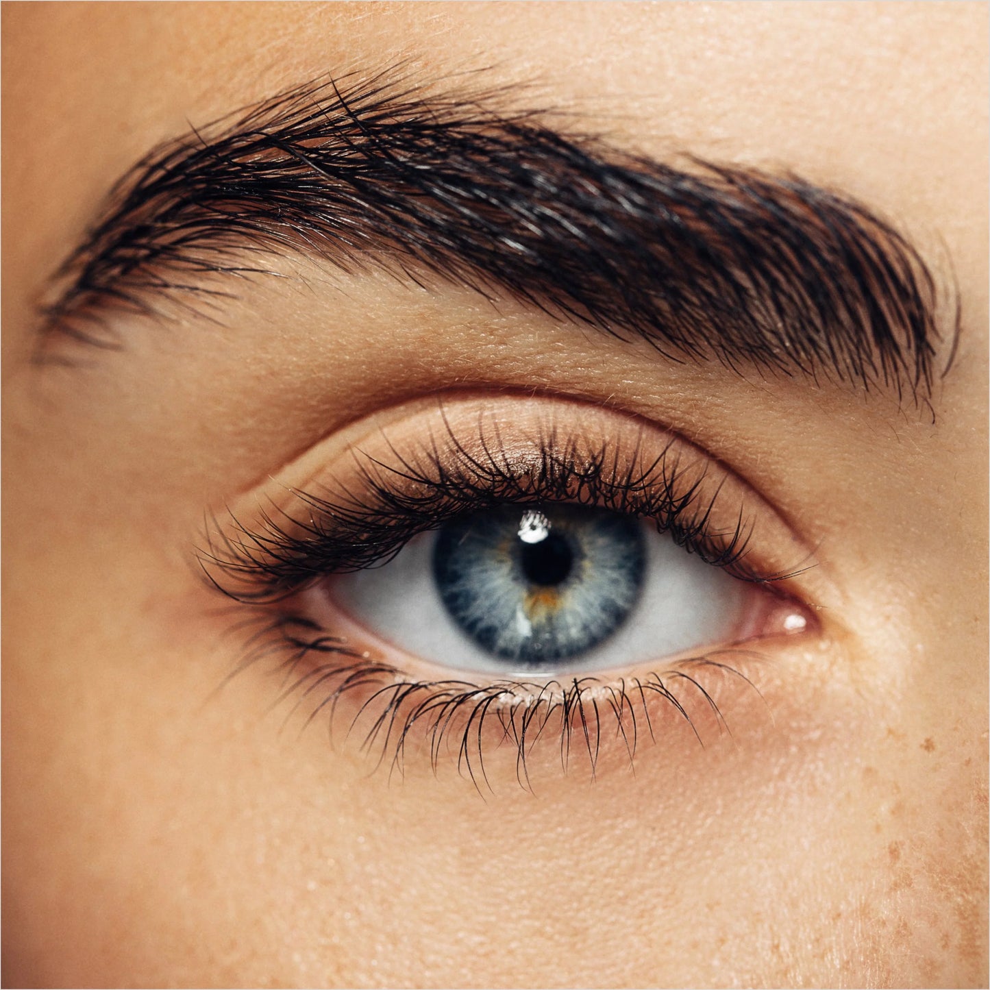 DS Laboratories - Sepctral Lash | Eyelash Conditioning Serum