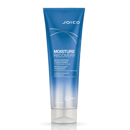 Joico Moisture Recovery Conditioner 250ml - KolorzOnline
