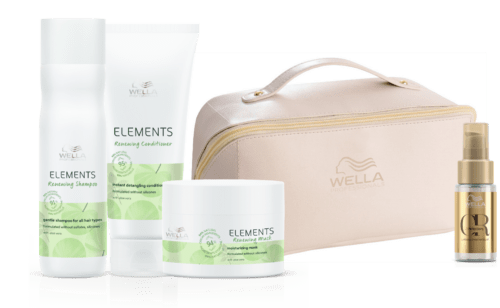 Wella Elements Festive Pack